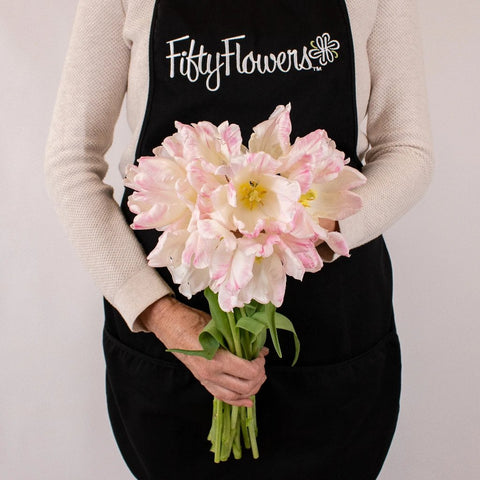Pink And White Parrot Tulips Flower Bunch in Hand
