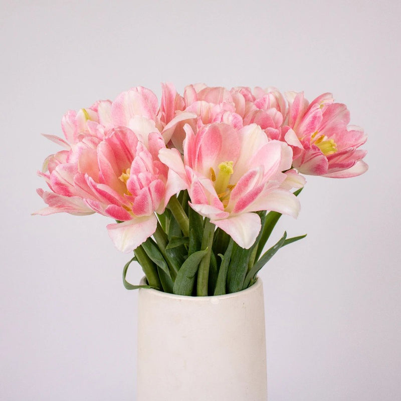 Pink And White Parrot Tulips Flower Bunch in Vase