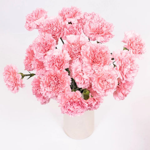 Pink Carnation Flower Bunch in Vase