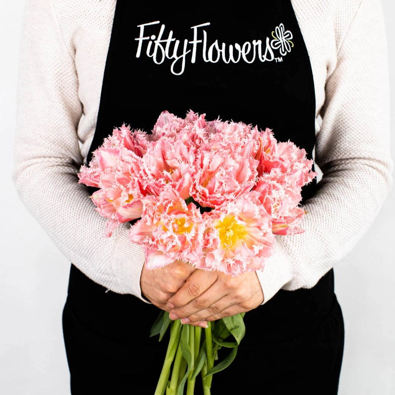 Pink Double Fringed Tulip Flower Bunch in Hand