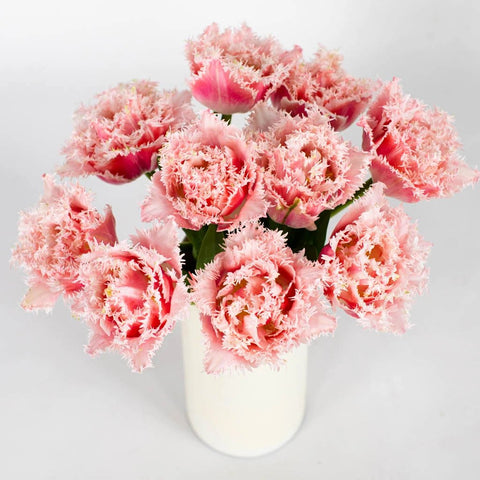 Pink Double Fringed Tulip Flower Bunch in Vase