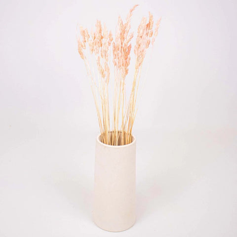 Pink Dried Orchad Flower Bunch in Vase