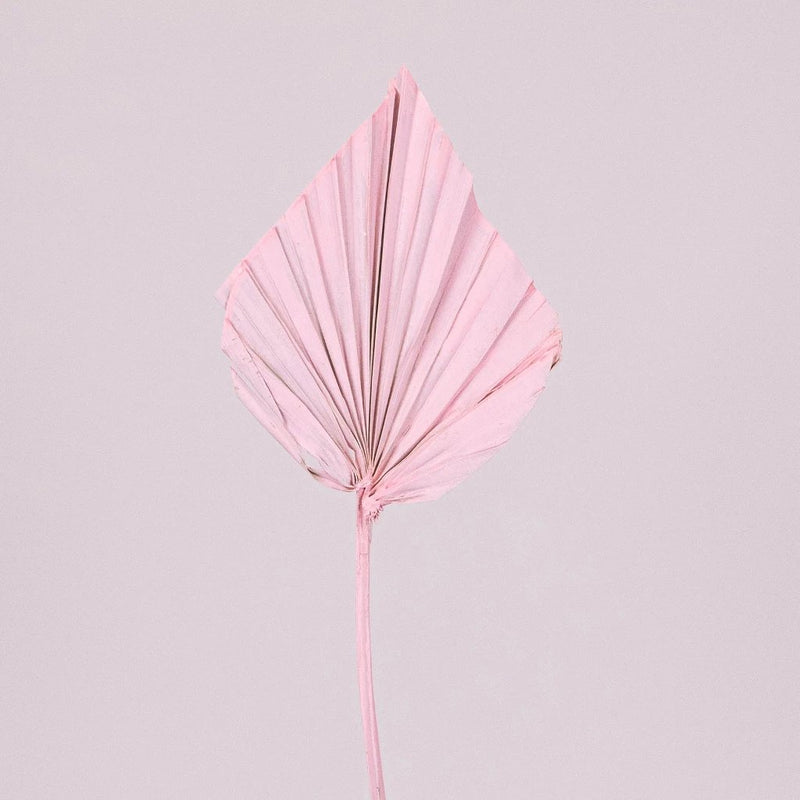 Light Pink Dried Palm Spears Stem