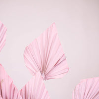 Light Pink Dried Palm Spears Up Close