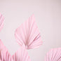 Light Pink Dried Palm Spears Up Close