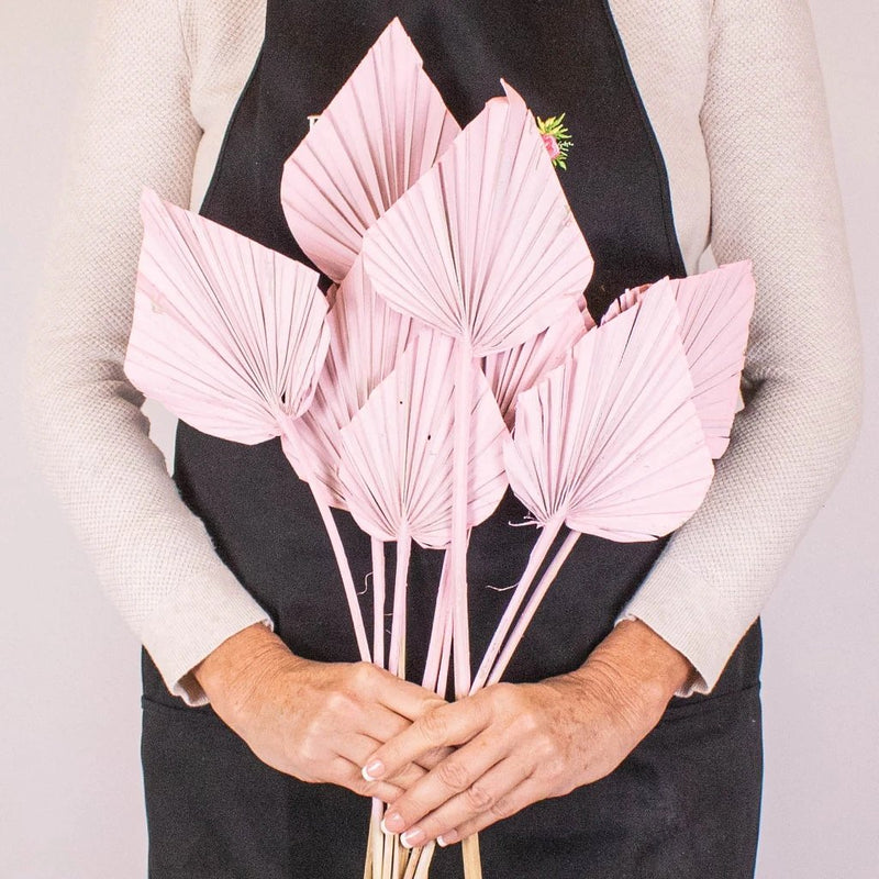 Light Pink Dried Palm Spears in Hand