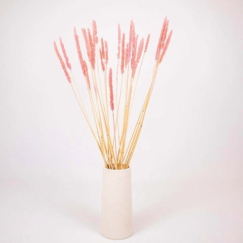 Pink Dried Thypa Flower Bunch in Vase