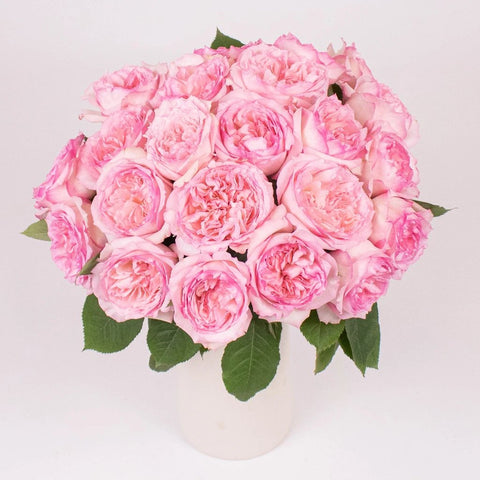 Wedding Kiss Pink Garden Roses in Vase