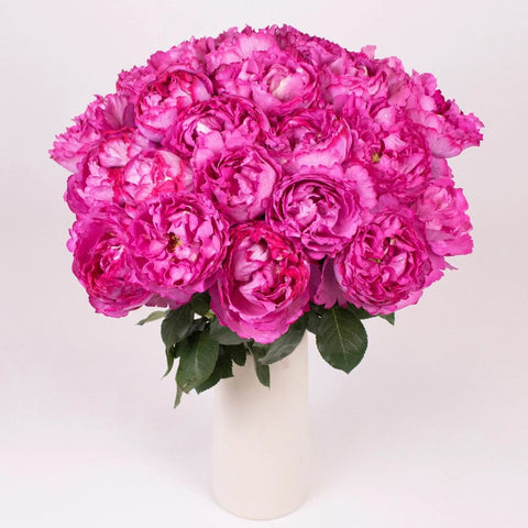Yves Piaget Peony Roses in Vase
