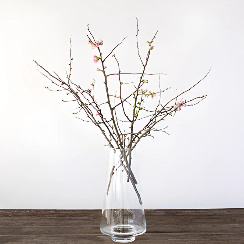 Pink Quince Blooming Branches In a Vase