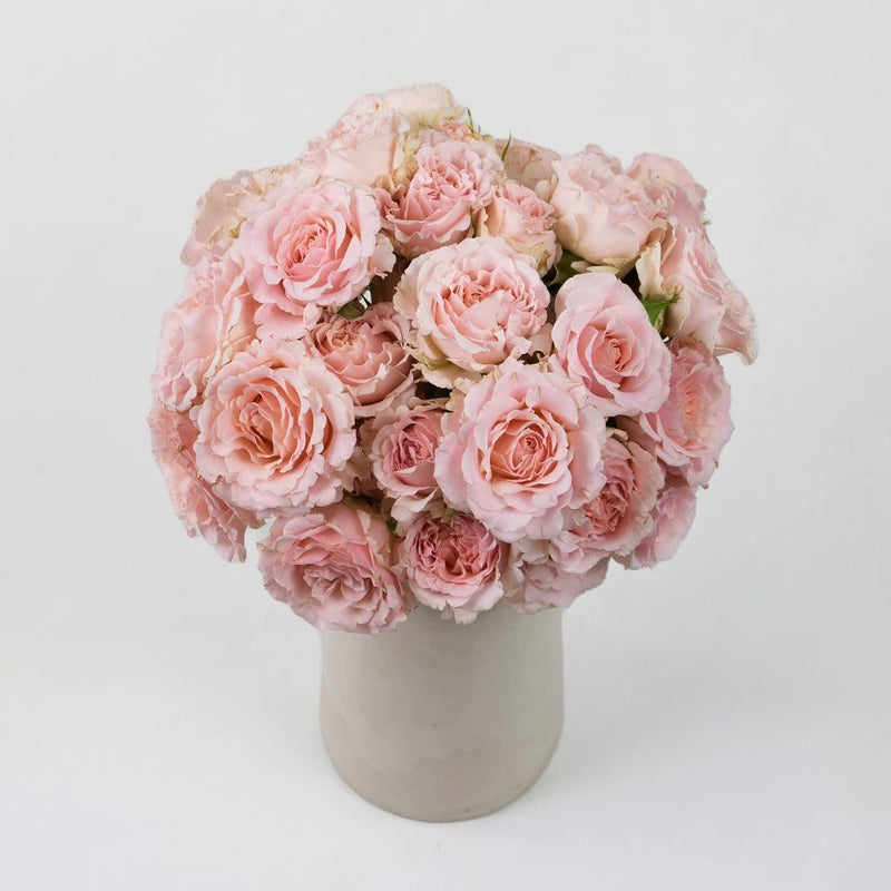 Pink Spray Garden Rose Flower Bunch in Vase