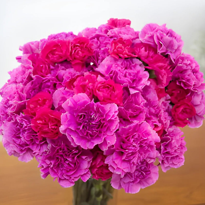 Pink Swirl Carnation Flowers In a vase