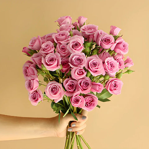 Pinky Lavender Spray Wholesale Rose Bunch in a hand