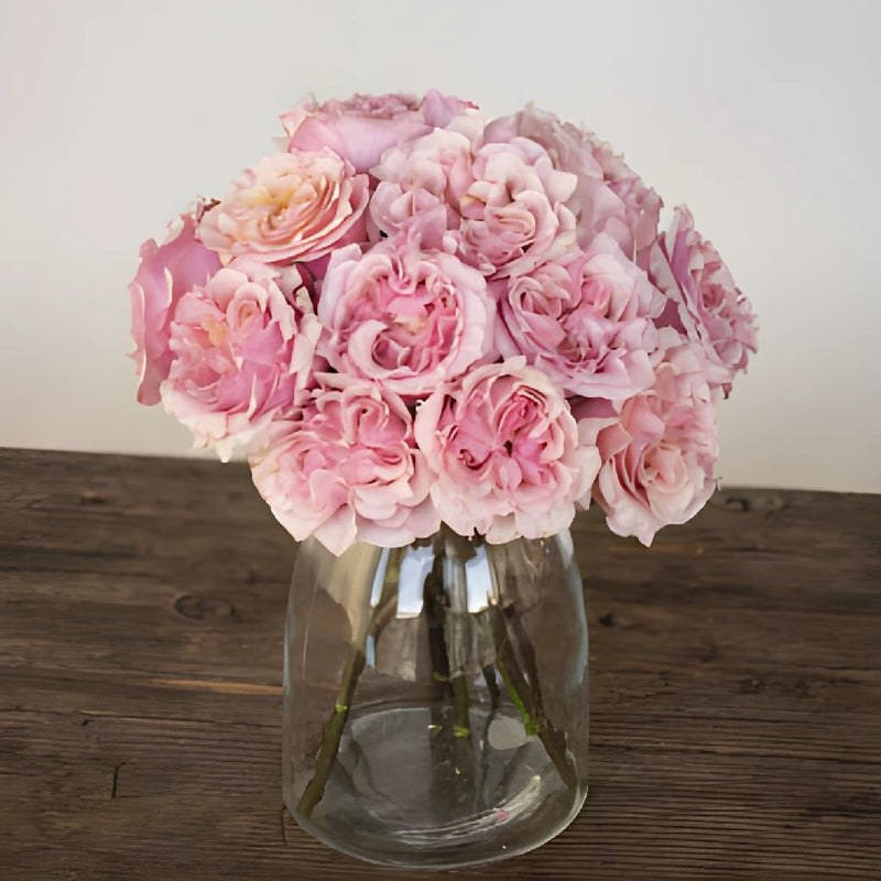 Powder Pink Garden Wholesale Roses In a vase