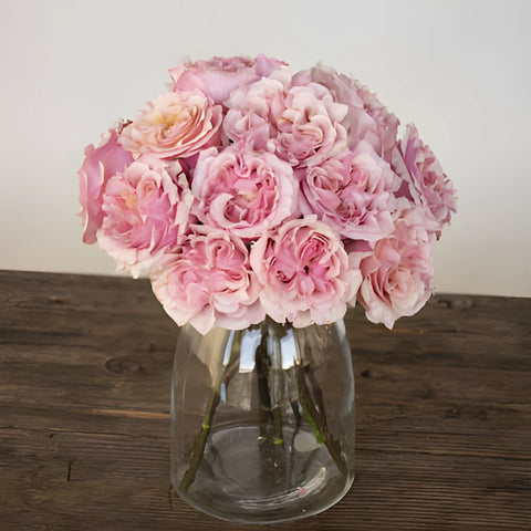 Powder Pink Garden Wholesale Roses In a vase