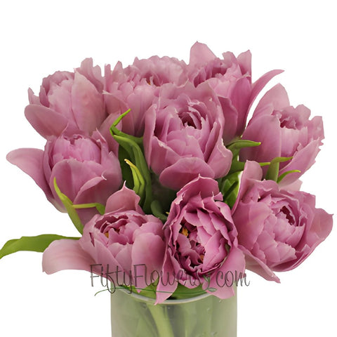 Price Pinky Purple Double Tulip Wholesale Flower In a vase