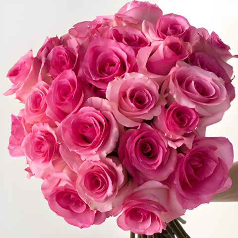 Priceless Pink Wholesale Rose Bunch in a hand