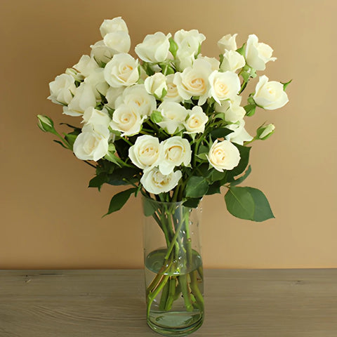 Princess Ivory Cream Wholesale Roses In a vase