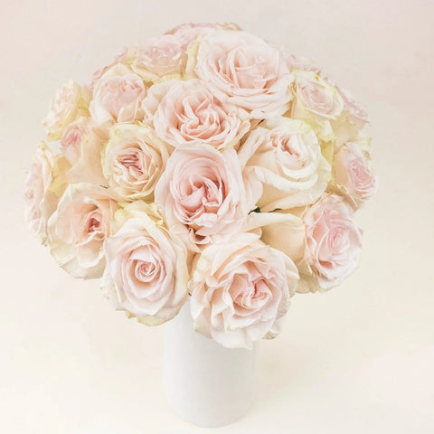 Priority Cream Wholesale Roses In a Vase