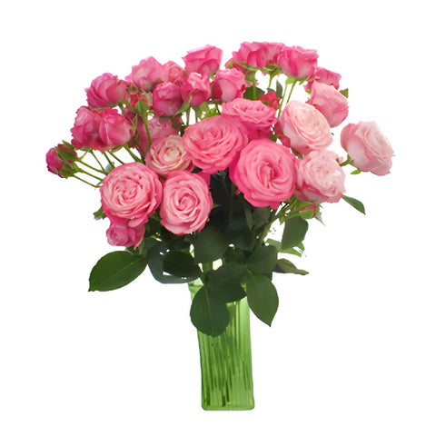 Prismatic Pink Spray Wholesale Roses In a vase