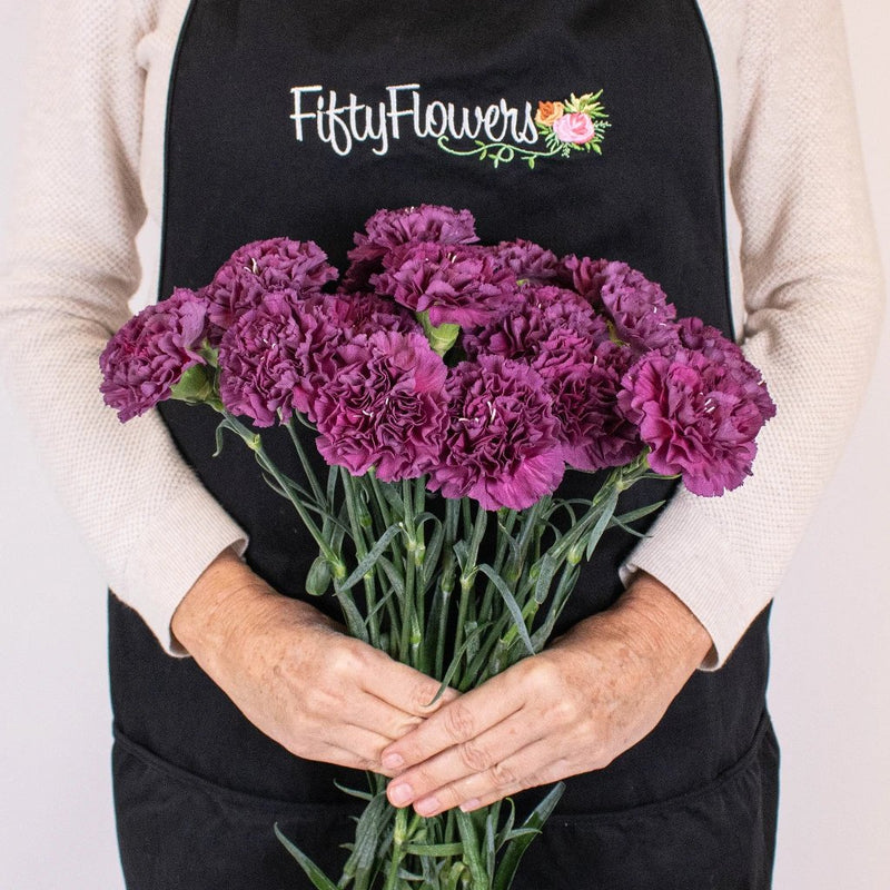 Deep Purple Carnation Flowers | Wholesale Flowers | FiftyFlowers