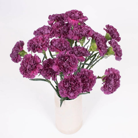 Purple Carnations Flower Bunch in Vase