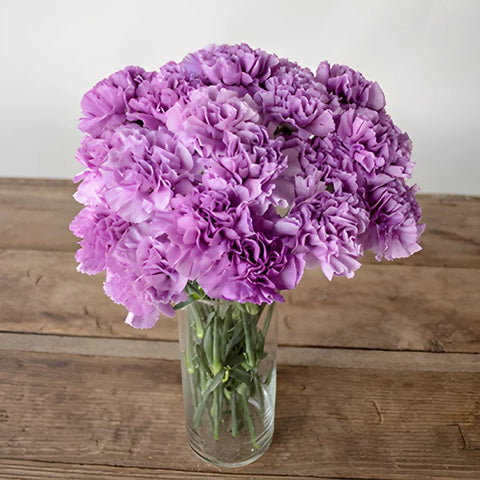 Purple Deep Lavender Carnation Flowers In a vase