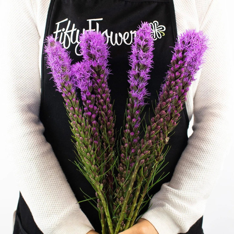 Purple Liatris Flower Bunch in Hand