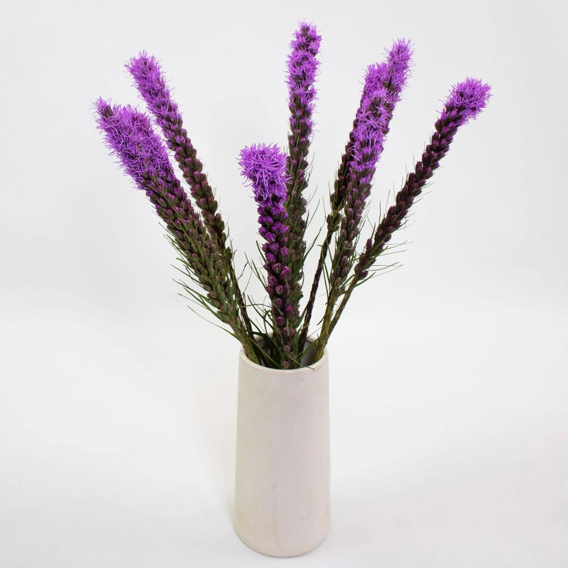 Purple Liatris Flower Bunch in Vase
