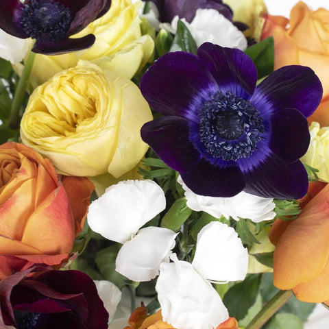 Purple and Orange Wholesale Flower Bouquet In a Hand