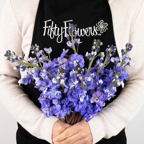 Purple Tinted Stock Flower Bunch in Hand