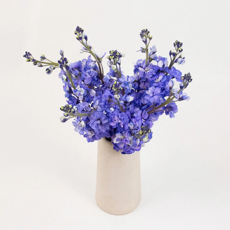 Purple Tinted Stock Flower Bunch in Vase