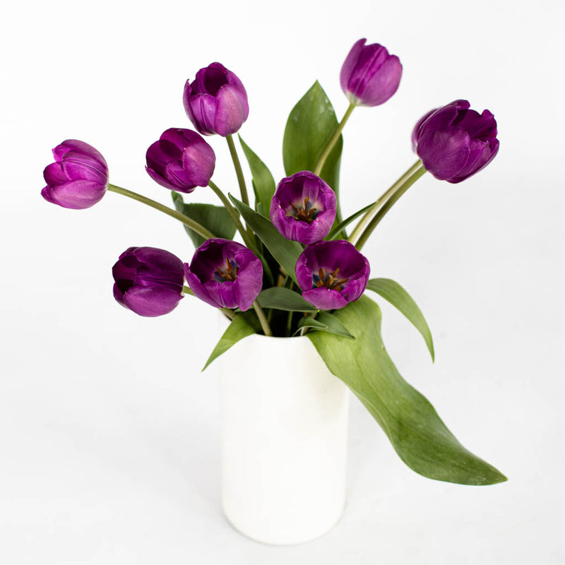 Purple Tulip Flower Bunch in Vase