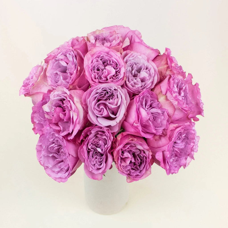 Queens Crown Purple Garden Roses In a Vase