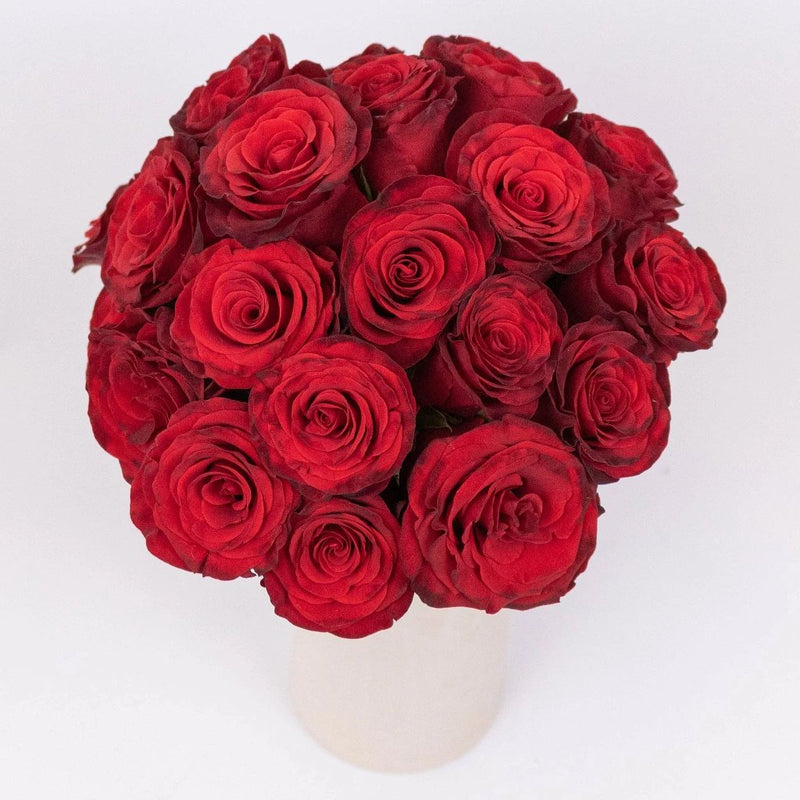 Radiant Red Roses in Vase