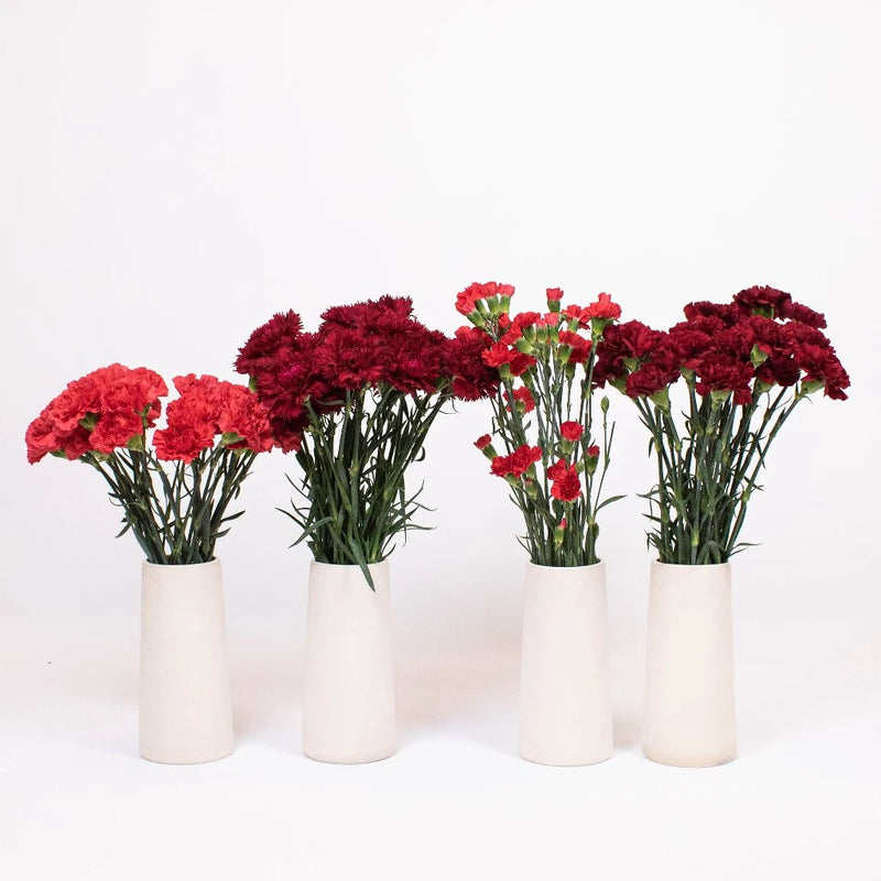 Red and Burgundy Flower Kit Recipe