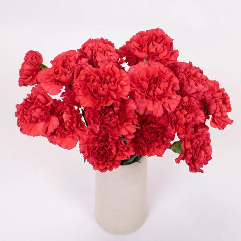 Red Carnation Flower Bunch in Vase