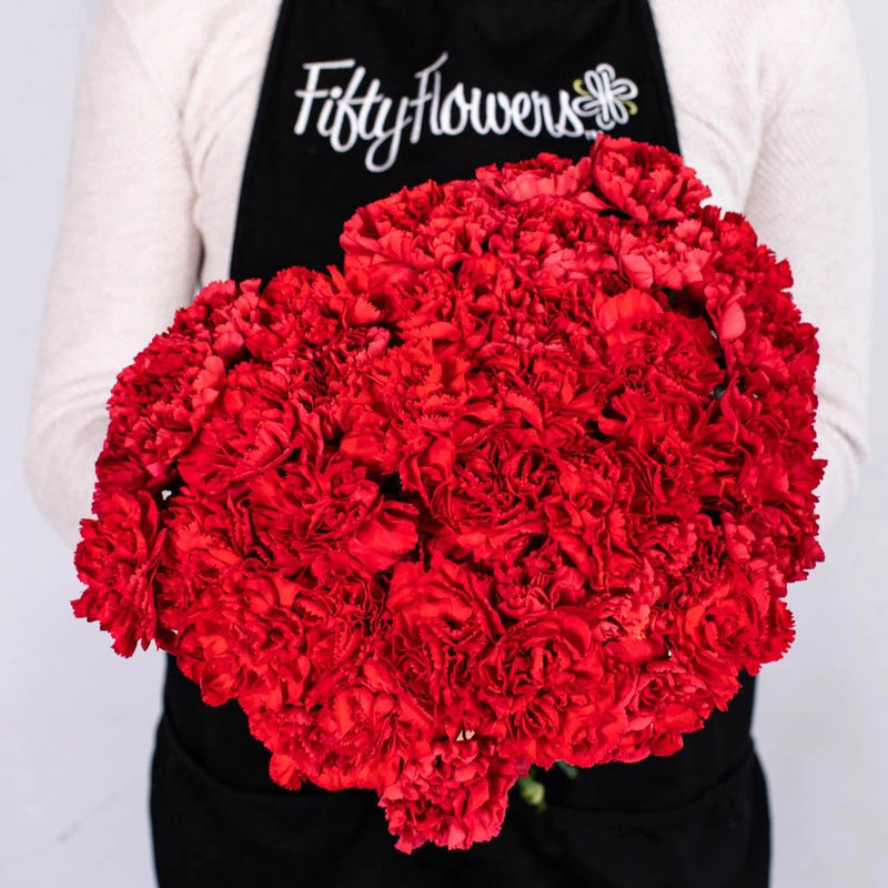 Red Carnations Flower Bouquet in Hand