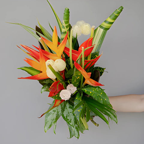 Red Heliconia Tropical Wholesale DIY Flower Kit In a Hand