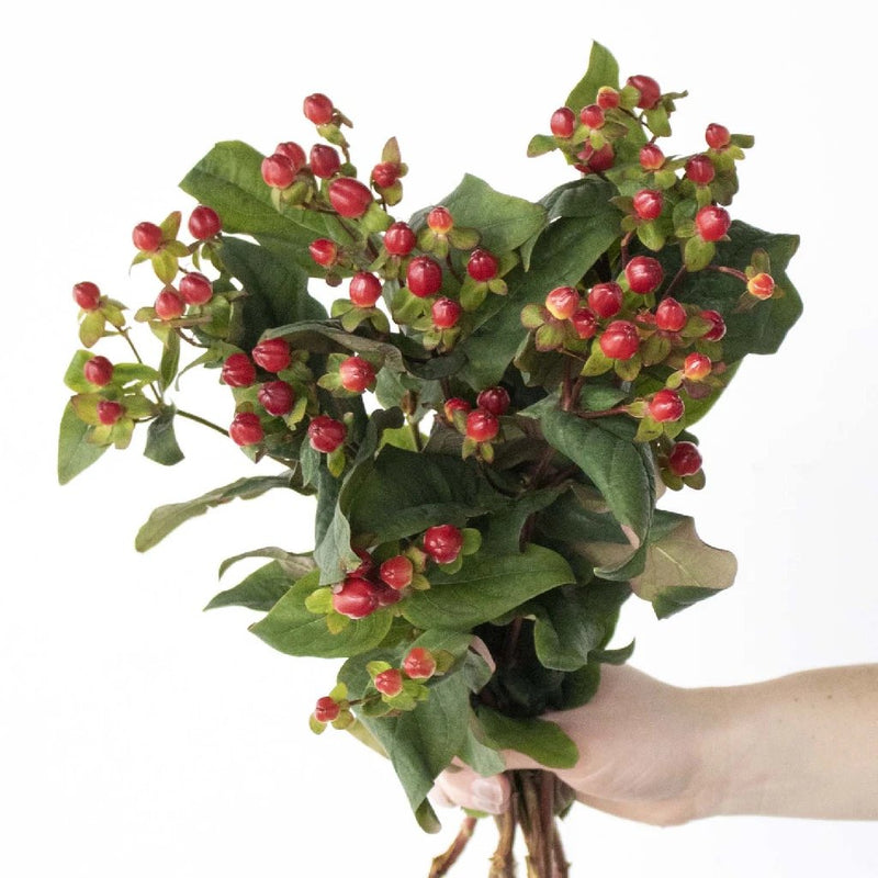 Berry Spray (Set of 3) The Holiday Aisle Flower Color: Red