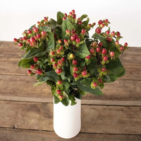 Red hypericum berry flowers in white vase on brown table