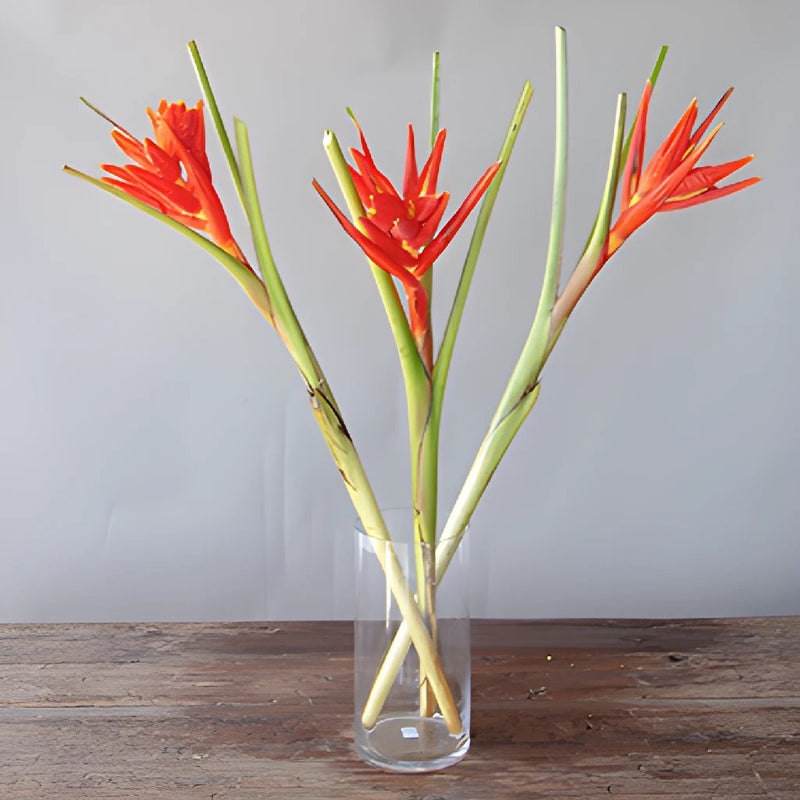 Red & Orange Tropical Flowers in Vase