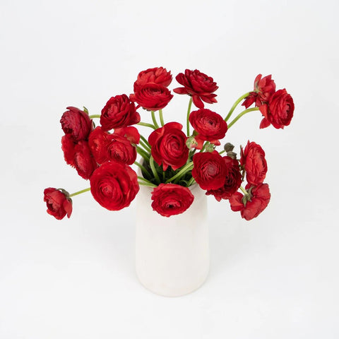 Red Ranunculus Flower Bunch in Vase