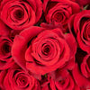 Red Ecuadorian Roses
