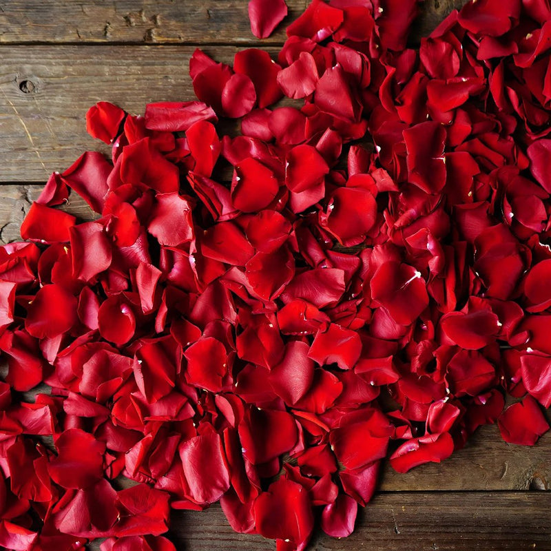 Red Rose Petals for sale