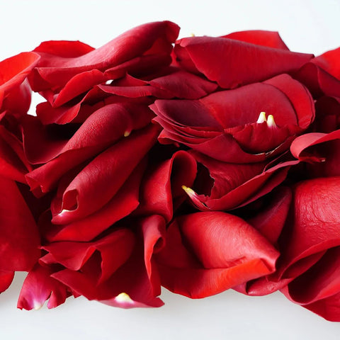 Red Real Roses Petals