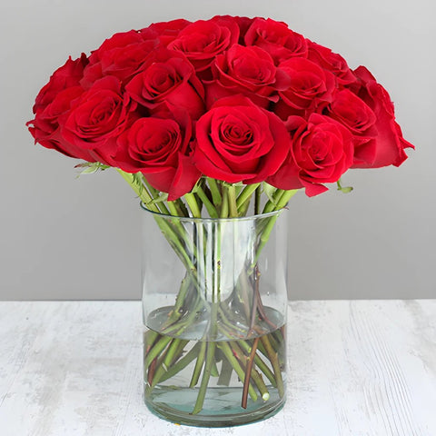 Red Roses Valentines Valentines Day Flower Bunch in Vase