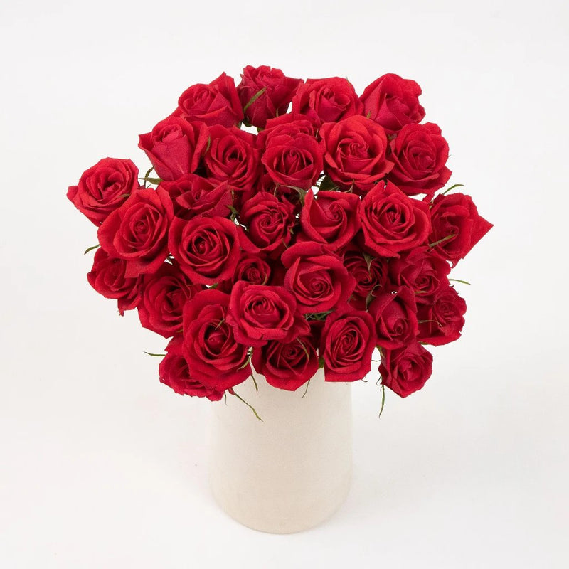 Red Spray Roses Flower Bunch in Vase
