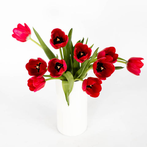 Red Tulip Flower Bunch in Vase