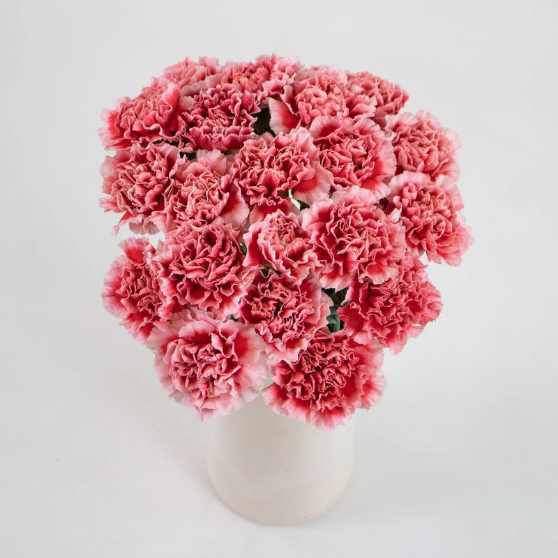 Red White Carnation Flower Bunch in Vase